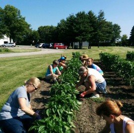 Fox Valley Food for Health Geneva, IL Garden program